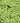 Czech Light Green Opaque Glass Bead (201): 11/0
