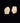 Matching Pair of Bull Elk Teeth: inventory #2-1 thru 2-2