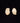 Matching Pair of Bull Elk Teeth: inventory # 11-1 thru 11-2