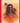 Book: American Indian Policy In The Twentieth Century