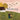 birdsong