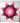 Native American Made Full Size Star Quilt: Cherry Blossom (71 x 79 inches)
