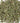 Lead Plant