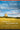 National Parks, Native Sovereignty: Experiments in Collaboration (book)