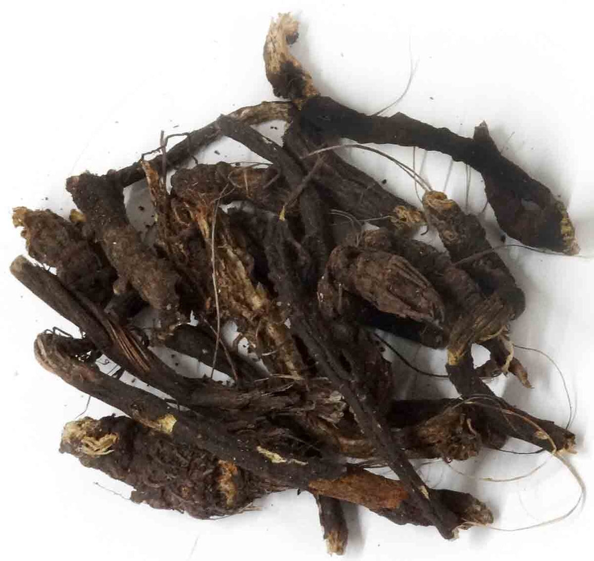 Osha Roots | Native American Herb | Prairie Edge