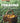 Outdoor Adventure Guides - Foraging (book)