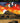 Book - The Spirit and The Sky: Lakota Visions of the Cosmos