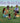 when we are kind cover