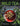 wild tea cover