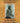 Wounded Knee: An Indian History of the American West - Book - Young Reader's Edition